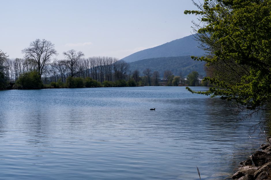 Serene lakeside view with distant mountains, perfect for nature and travel imagery.