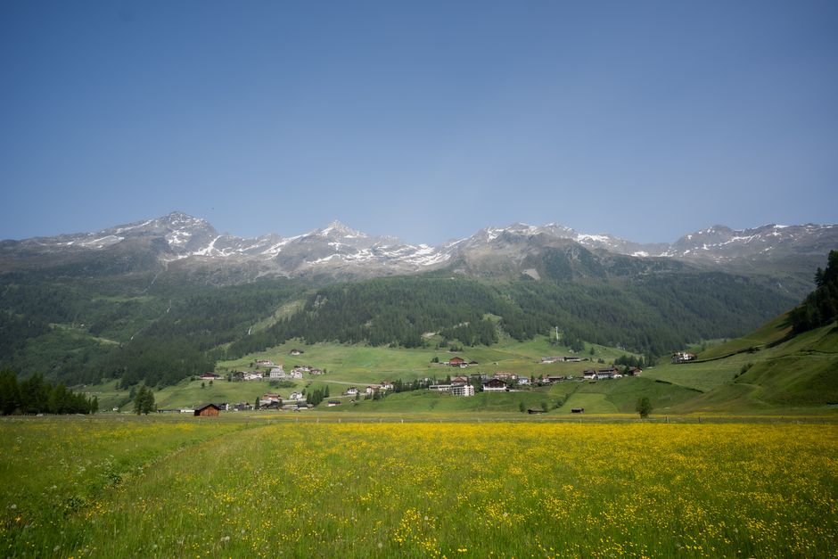 Picturesque alpine village surrounded by mountains and a vibrant yellow meadow in spring.