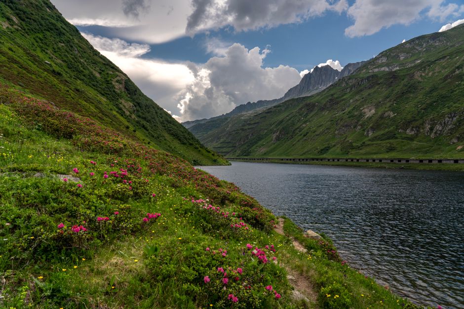 Breathtaking view of an alpine lake surrounded by lush green hills and vibrant wildflowers.