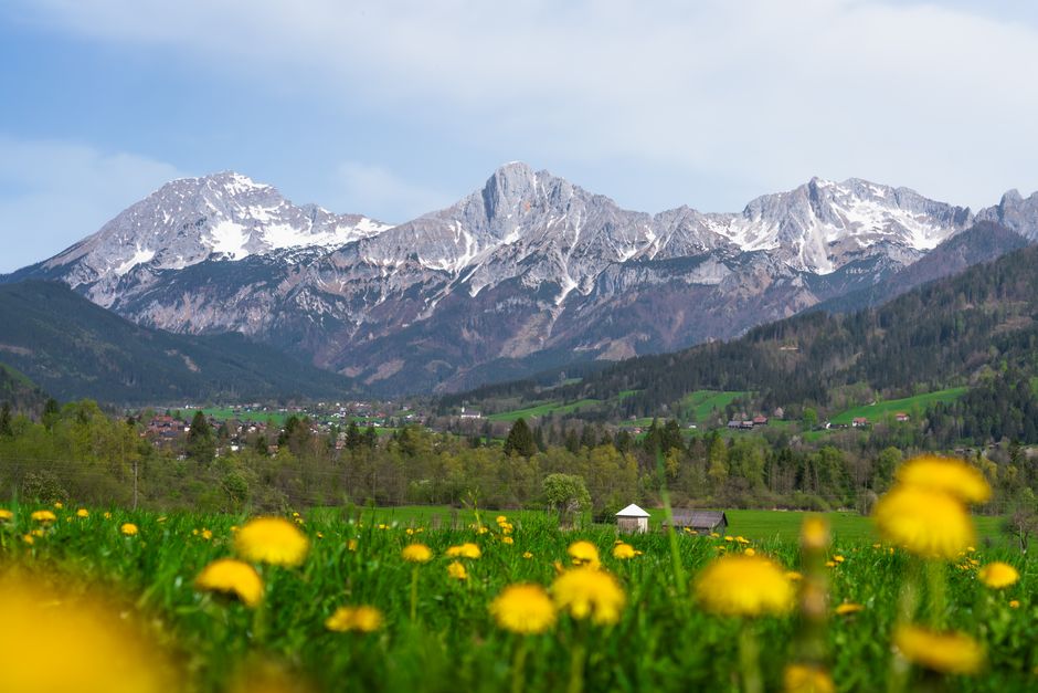 Discover a breathtaking view of alpine peaks and yellow dandelions in a serene meadow setting.