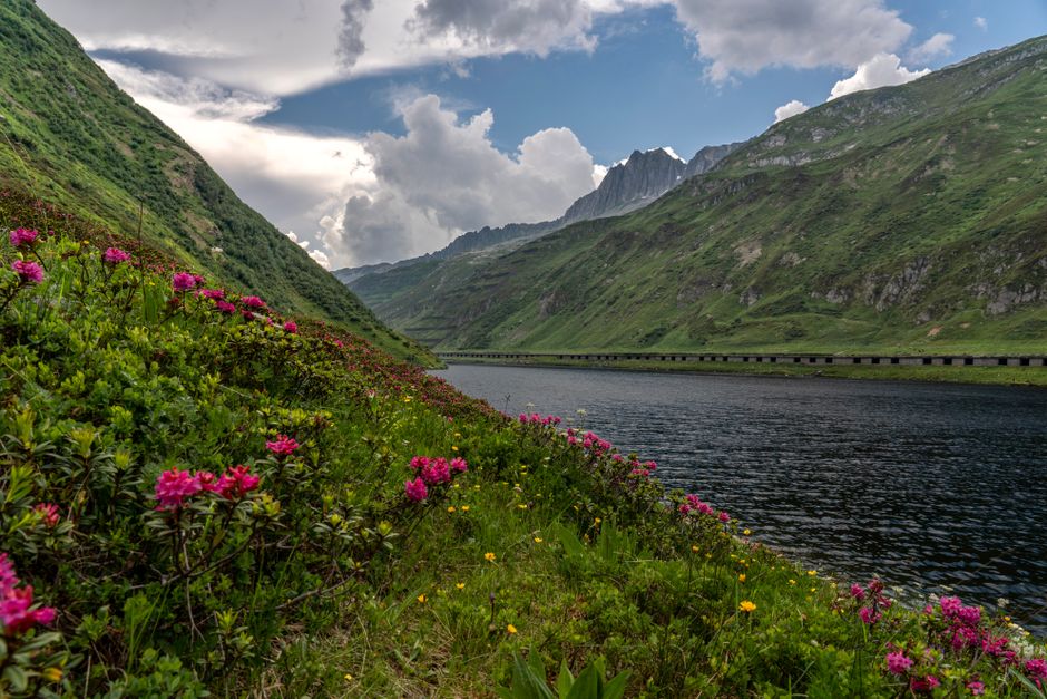 Serene mountain landscape with vibrant wildflowers, a flowing river, and dramatic clouds.