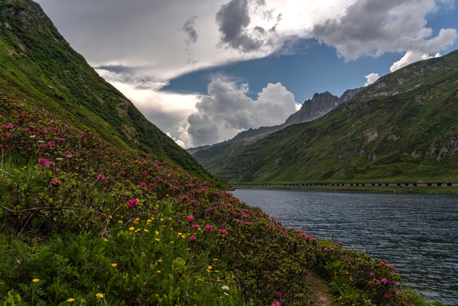 A breathtaking view of an alpine landscape with vibrant flowers and a serene lake under dramatic clouds.