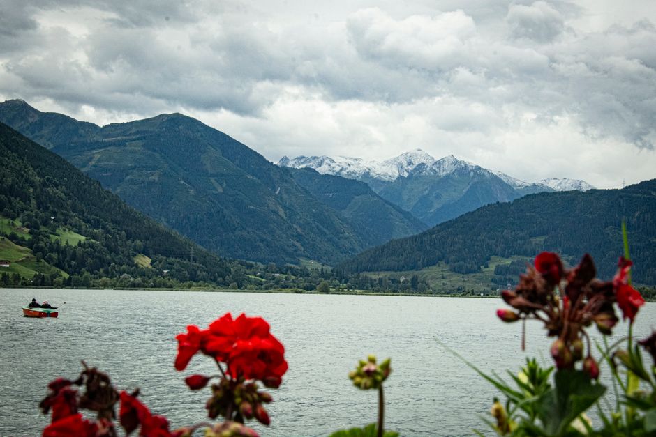 Mountain lake landscape with red flowers and snowy peaks.
